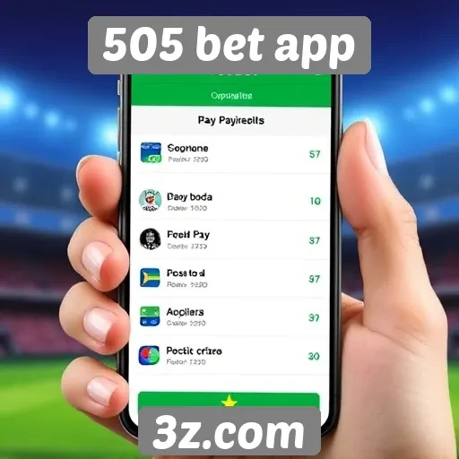 Opções de pagamento disponíveis no 505 bet app